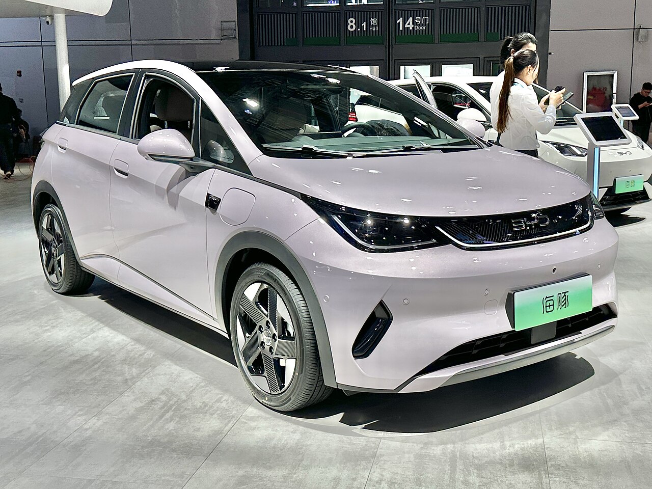 Review BYD Dolphin: Kandidat Terkuat untuk Daily Driver Listrik Anda?